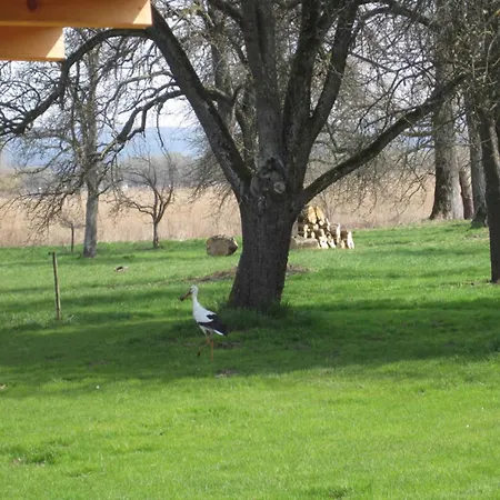 Seeperle * Moos (Baden-Wurttemberg)