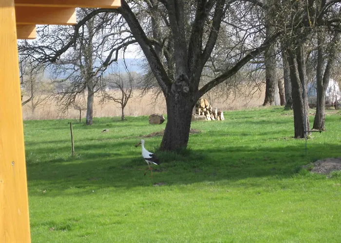 Seeperle * Moos (Baden-Wurttemberg)